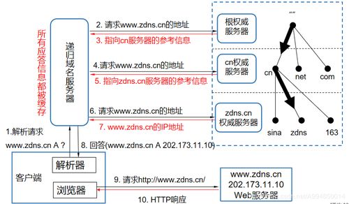 域名系統(DNS) 互聯網的“電話簿”——起源、原理與服務解析